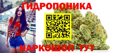 скорость Гусев